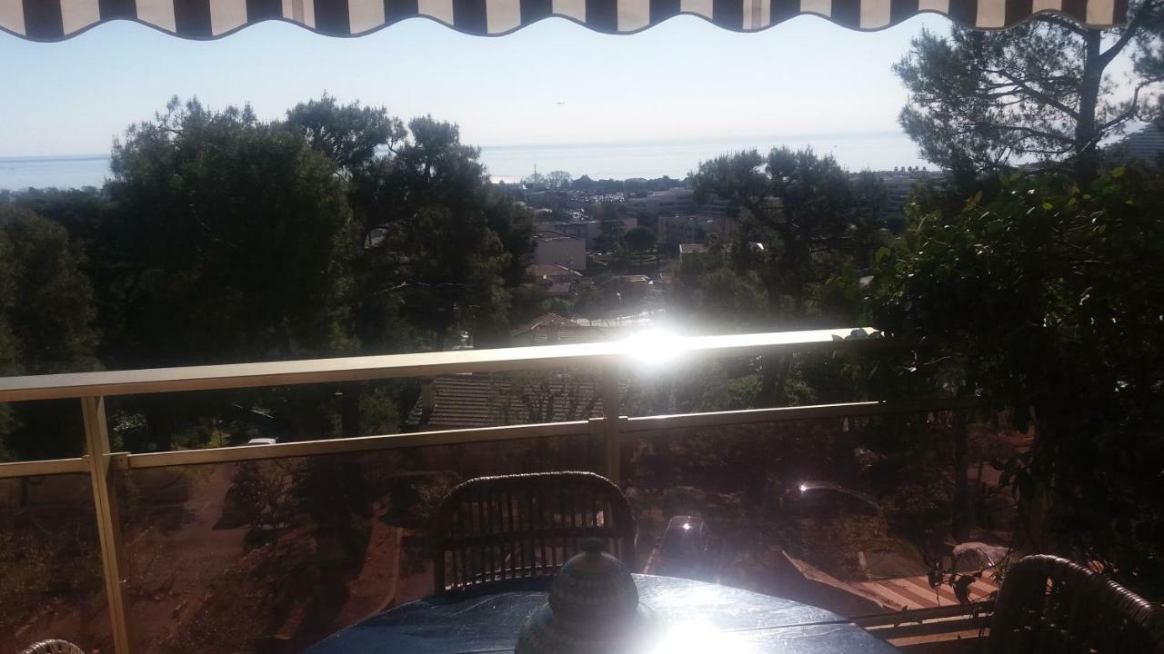 Bel Appartement Avec Vue Mer Villeneuve-Loubet Kültér fotó